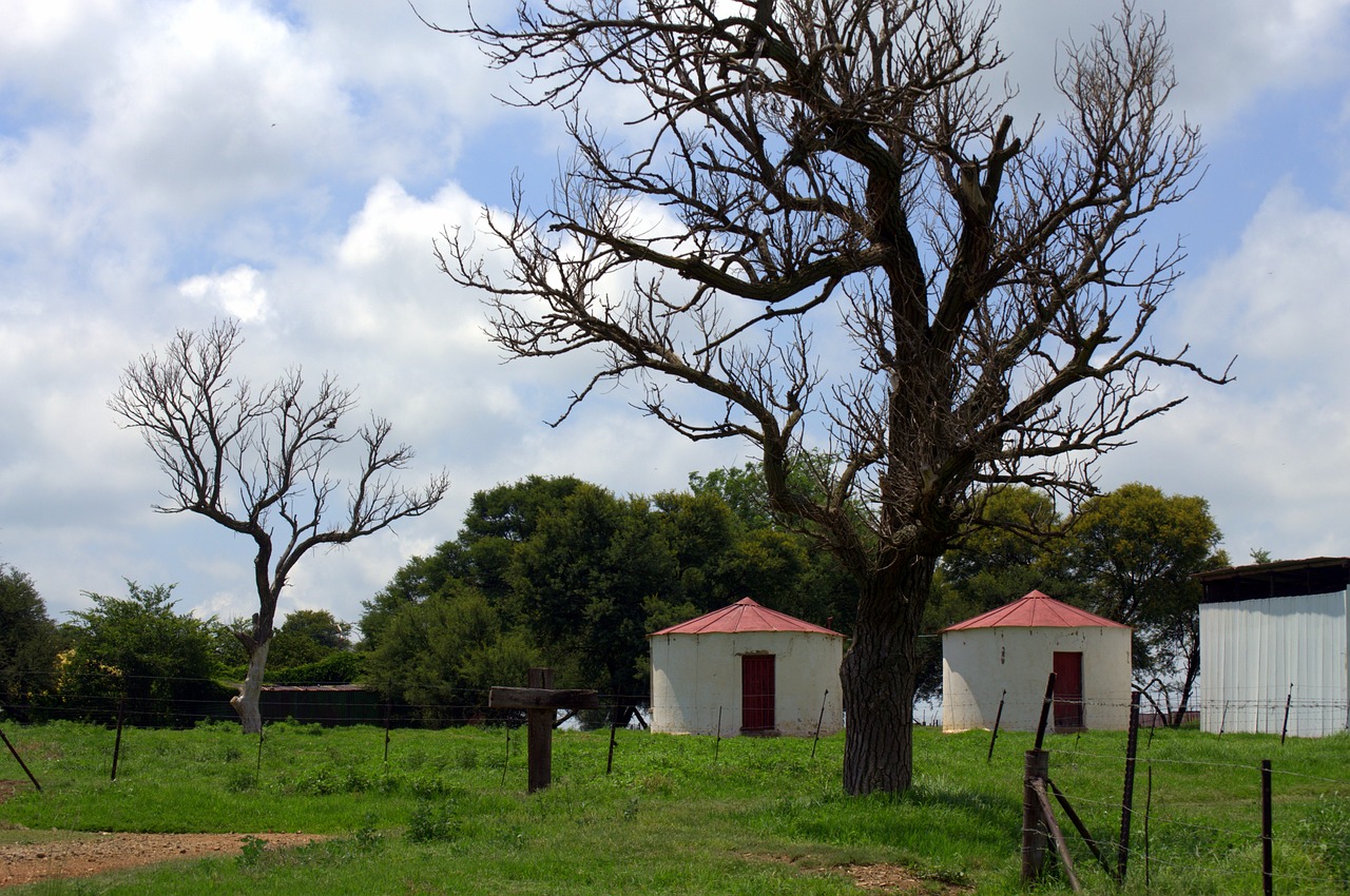 farm life countryside farming free photo