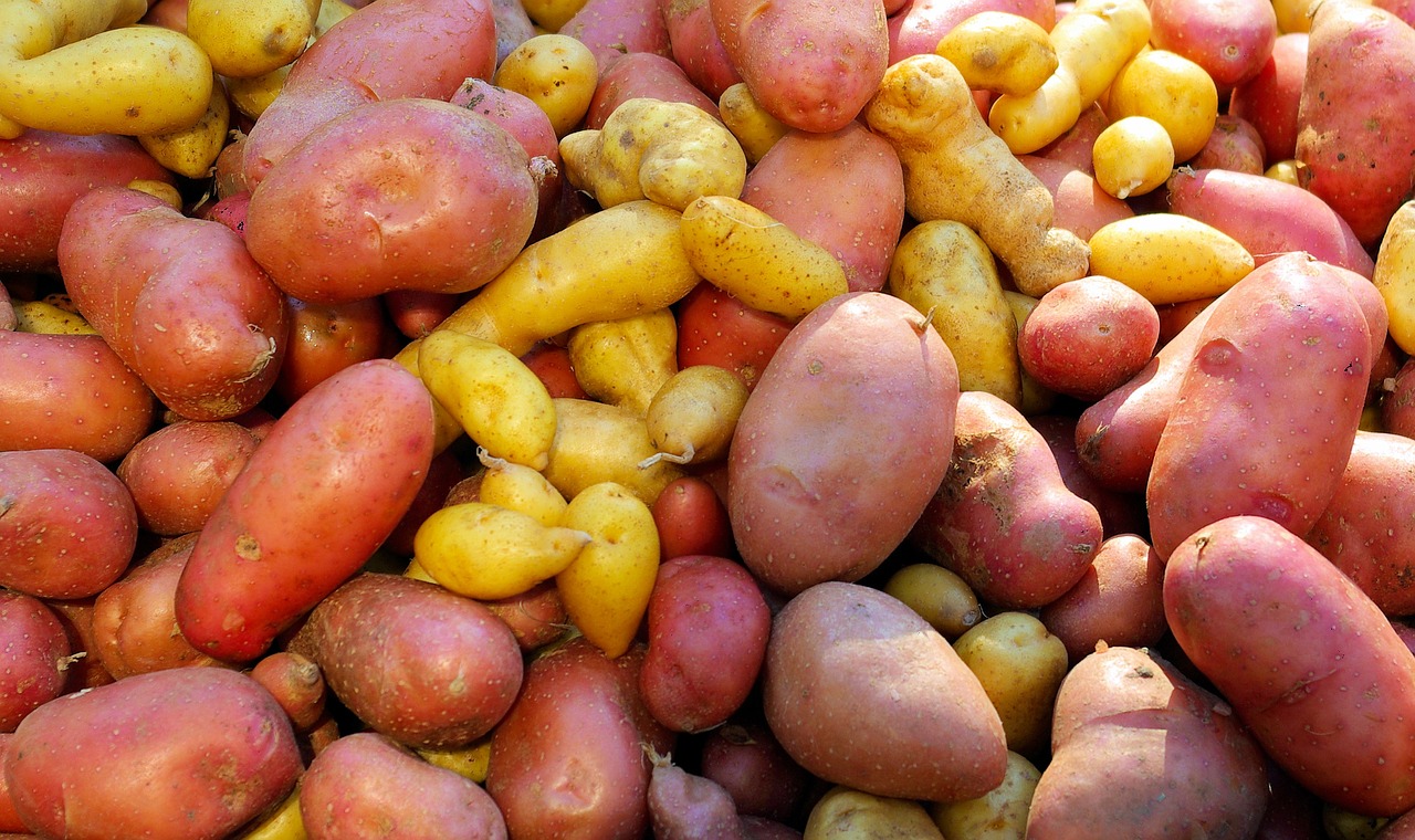 farm market potatoes  farmers  potatoes free photo