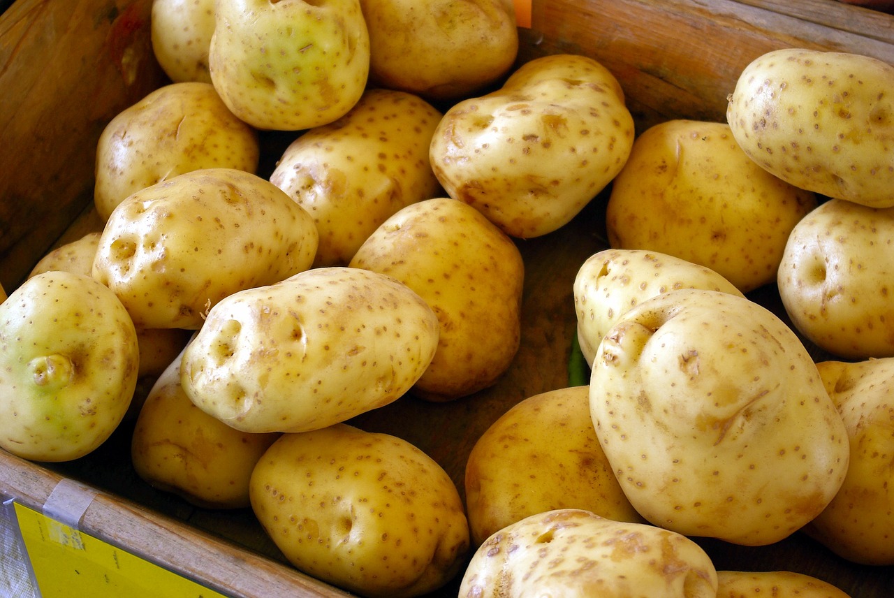 farm market potatoes  spuds  healthy free photo
