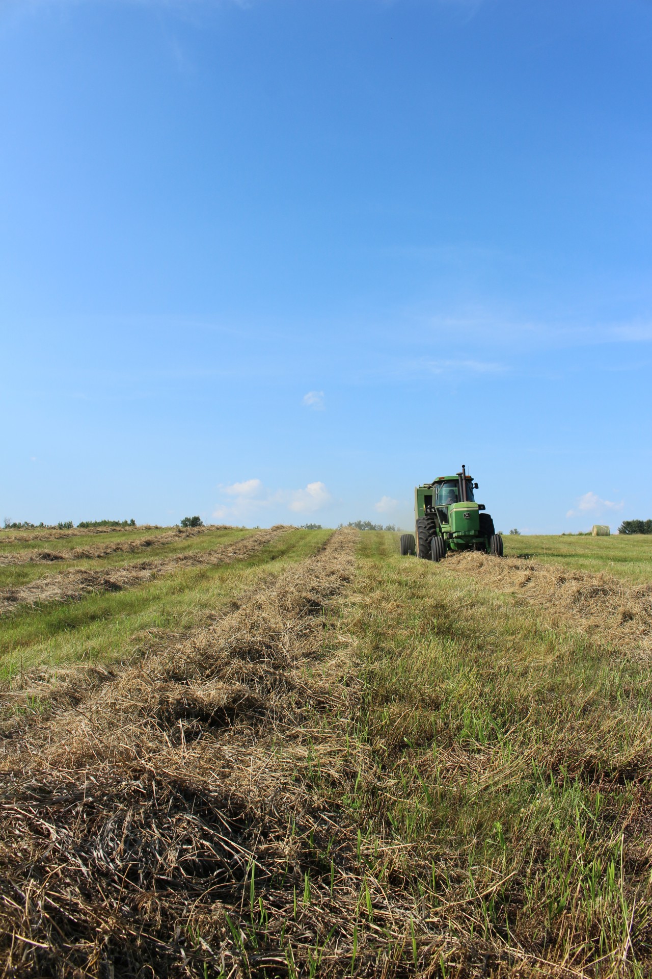 farm round hay free photo