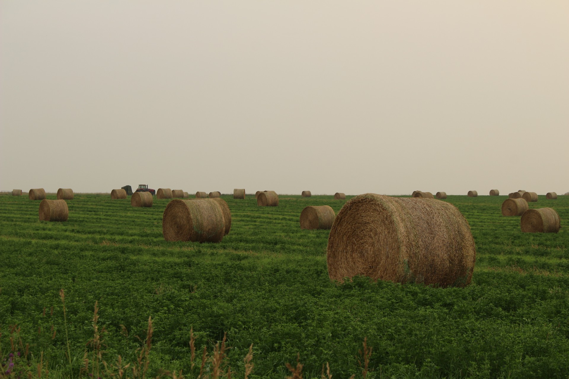 farm round hay free photo