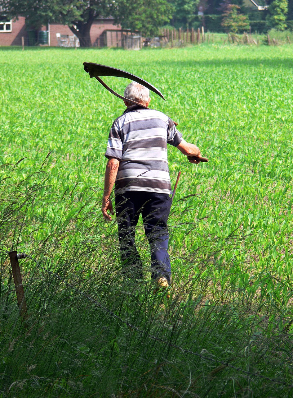 farmer scythe grass free photo