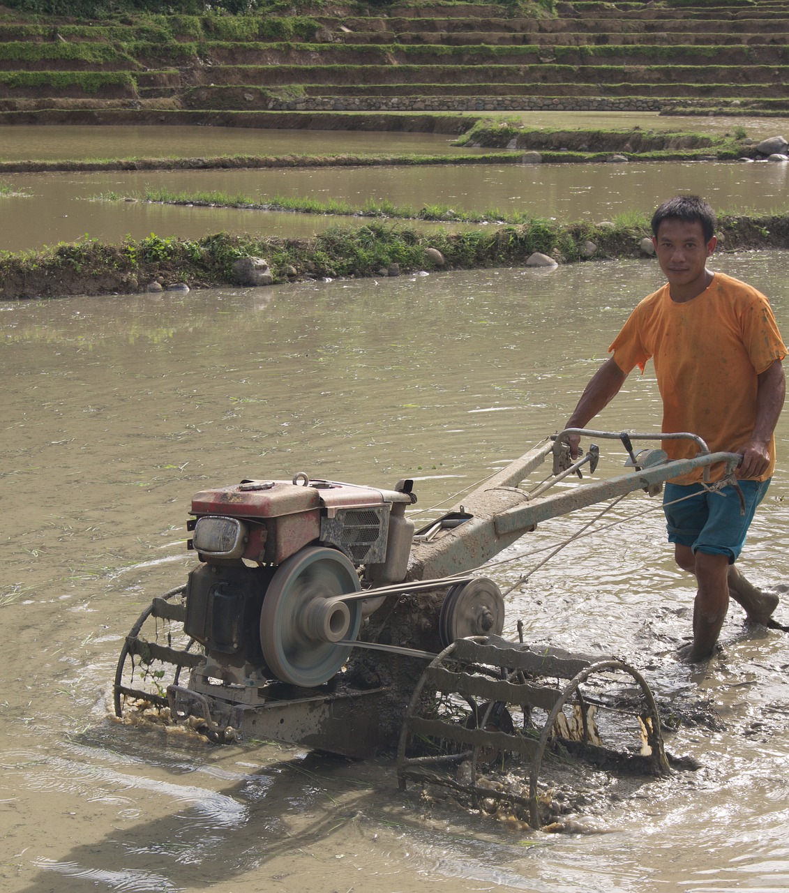 farmer laos agriculture free photo