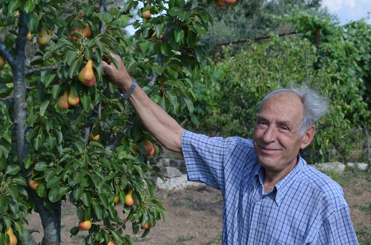 farmer salento collection free photo