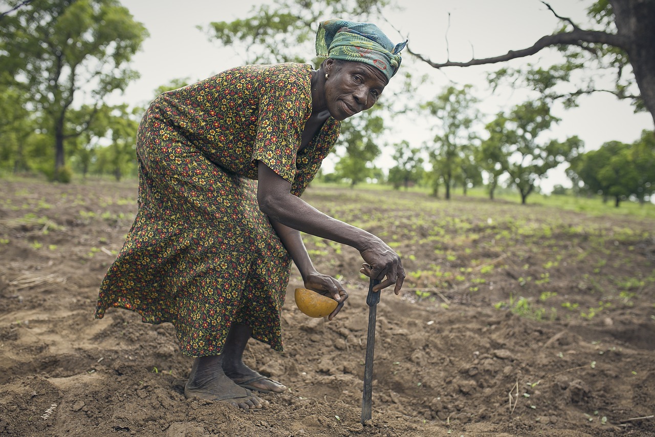 farmer africa woman free photo