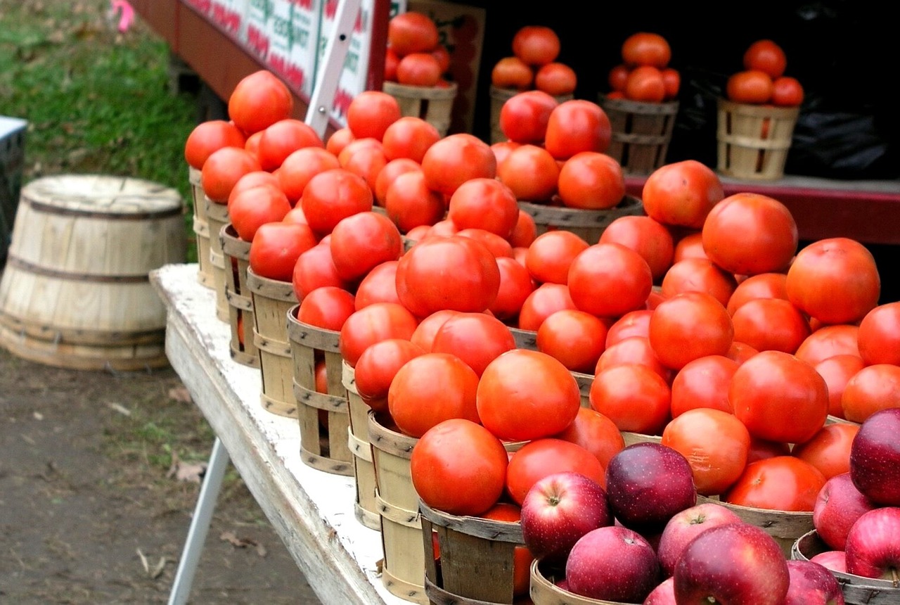 farmer market tomatoes free photo