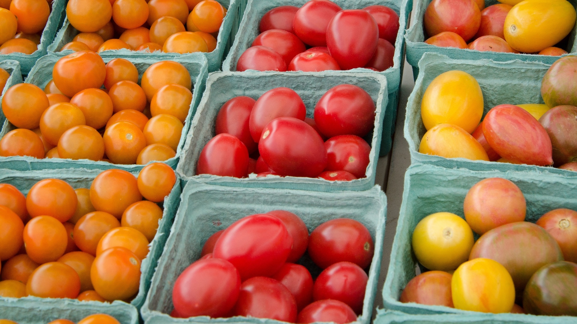 tomato homegrown food free photo