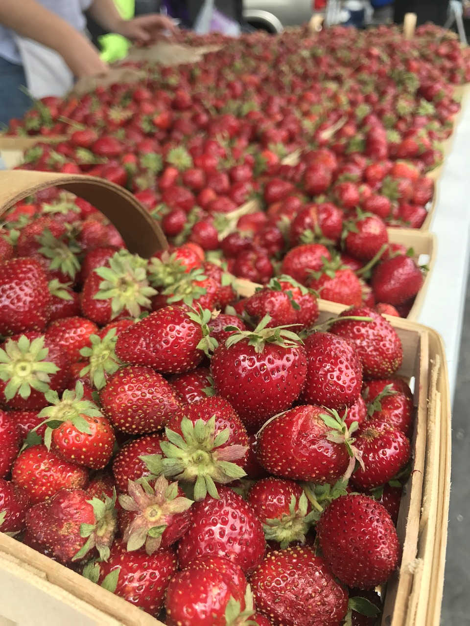 farmers market strawberry strawberries free photo