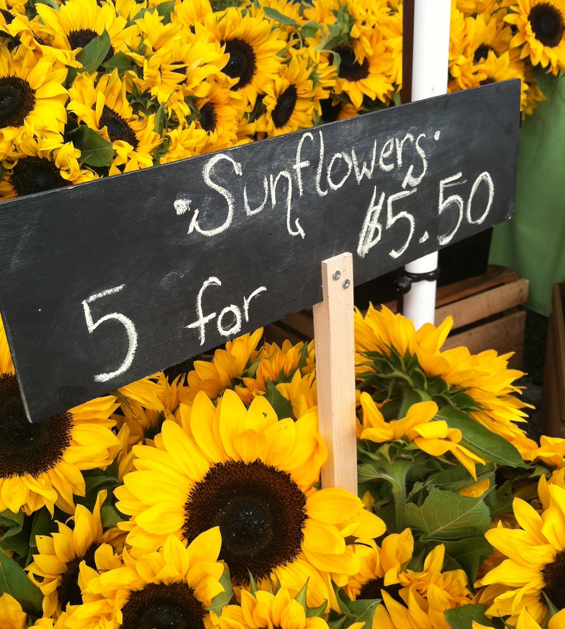 farmers market sunflowers summer free photo