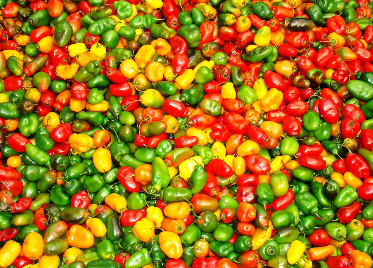 farmers market peppers colorful free photo