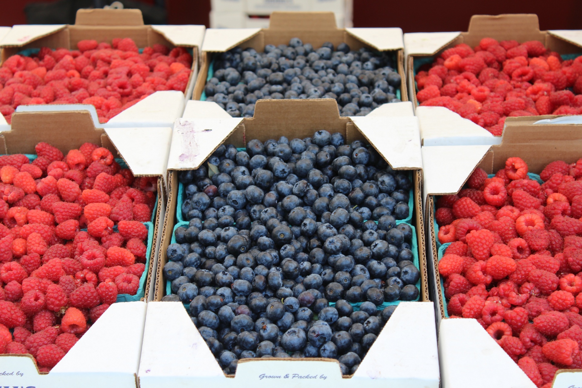 raspberries blueberries farmers market free photo