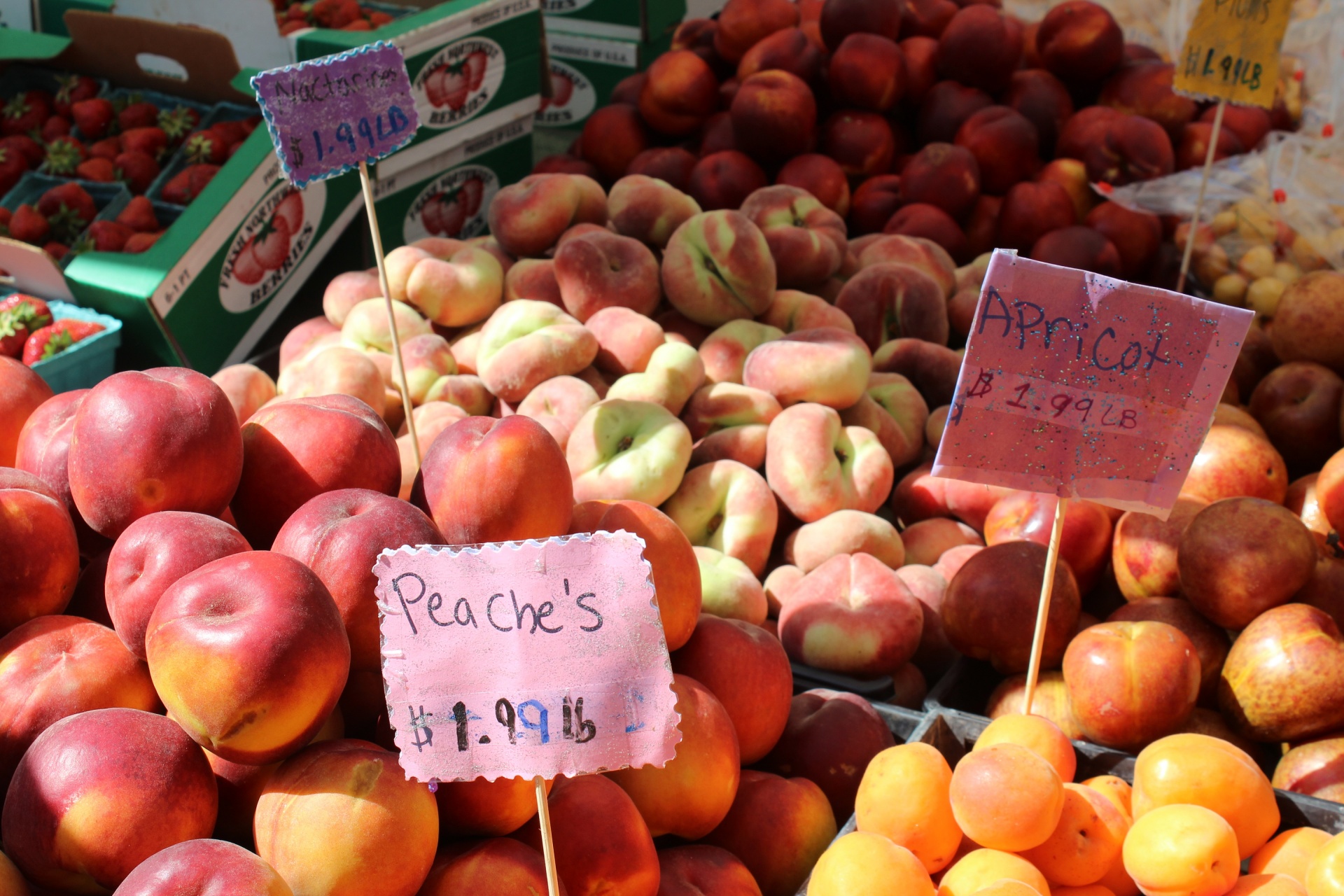 apricots peaches fresh free photo