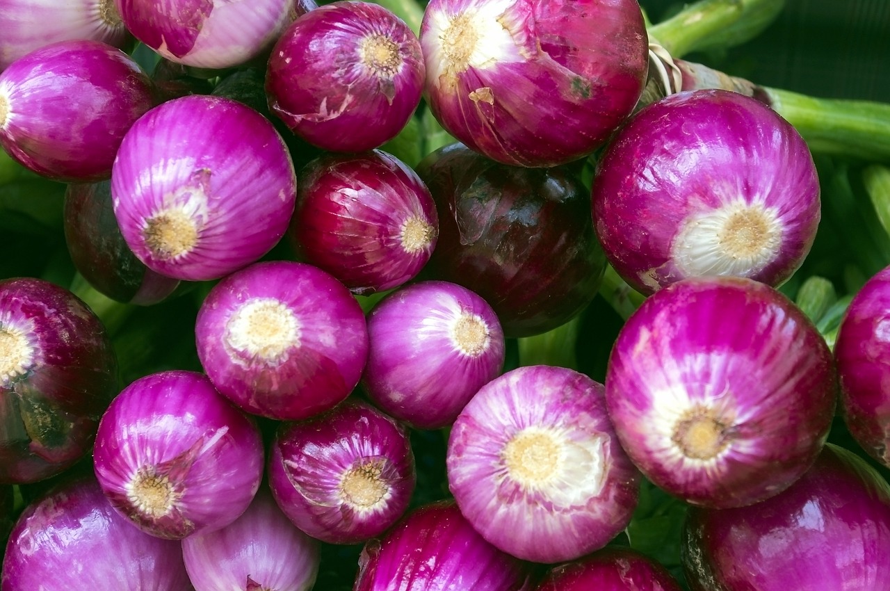 farmers market purple onions  food  onion free photo