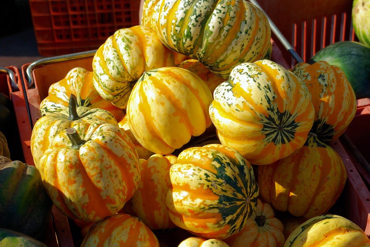 farmers market striped gourds  gourds  farmers free photo