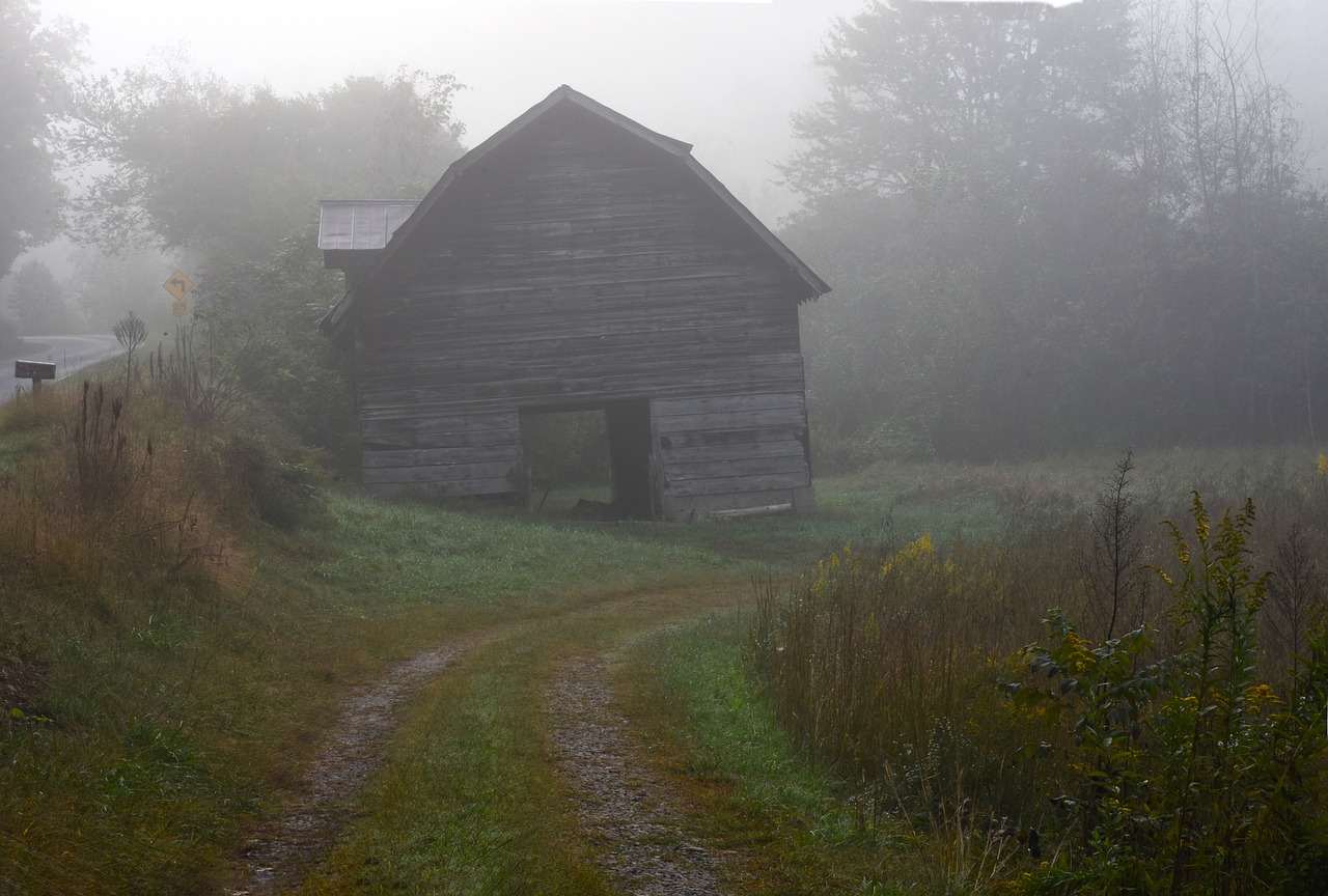 farmhouse  barn  fog free photo