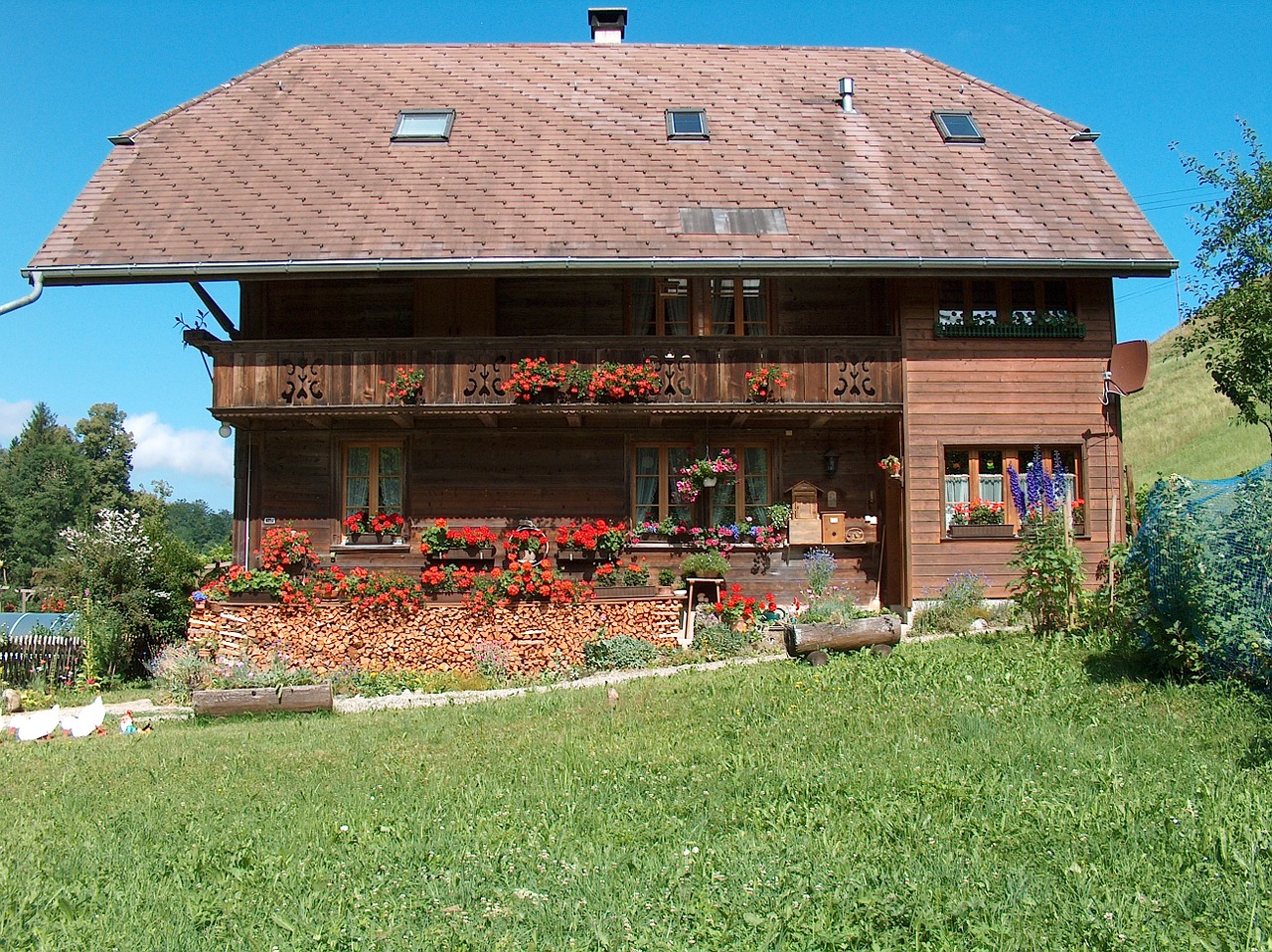 farmhouse geranium rustic free photo