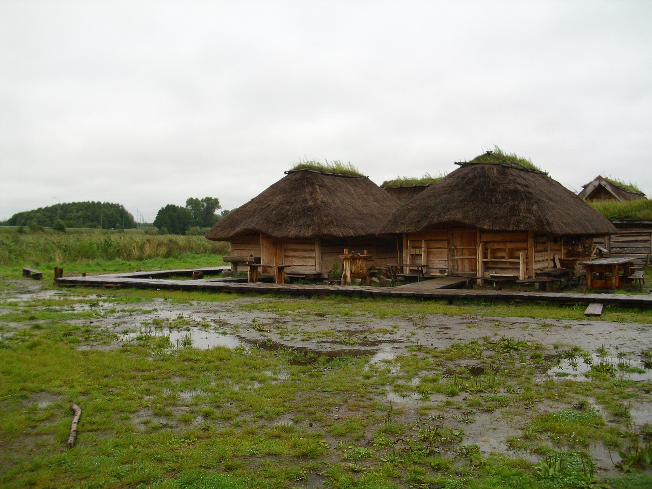 farmhouse museum thatched roofs village free photo