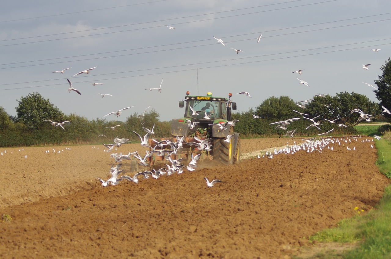 farming  tractor  plough free photo