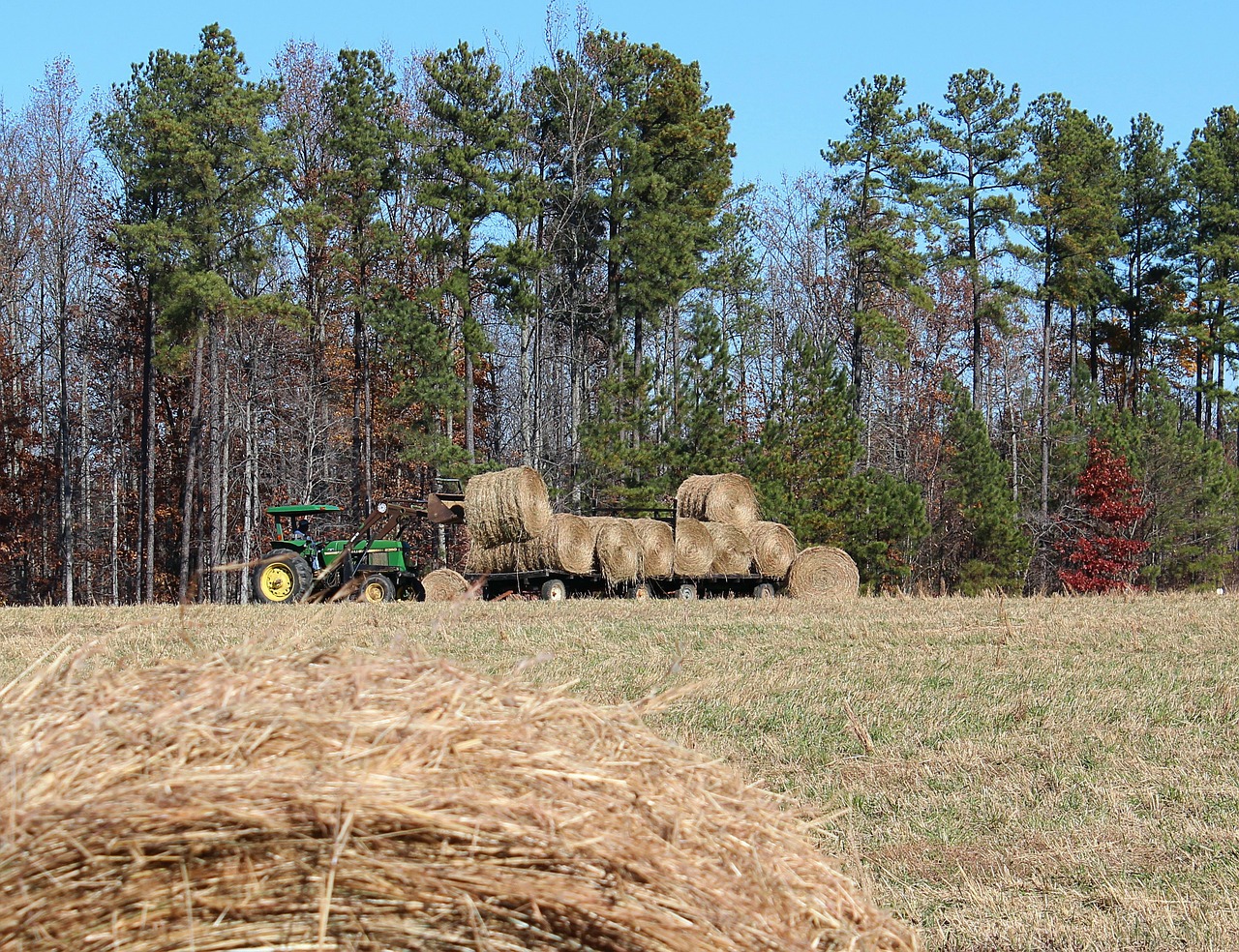 farming making hay hay wagon free photo