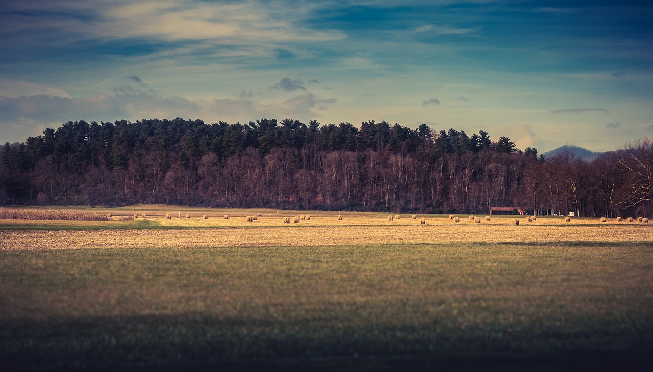 farmland woodland landscape free photo