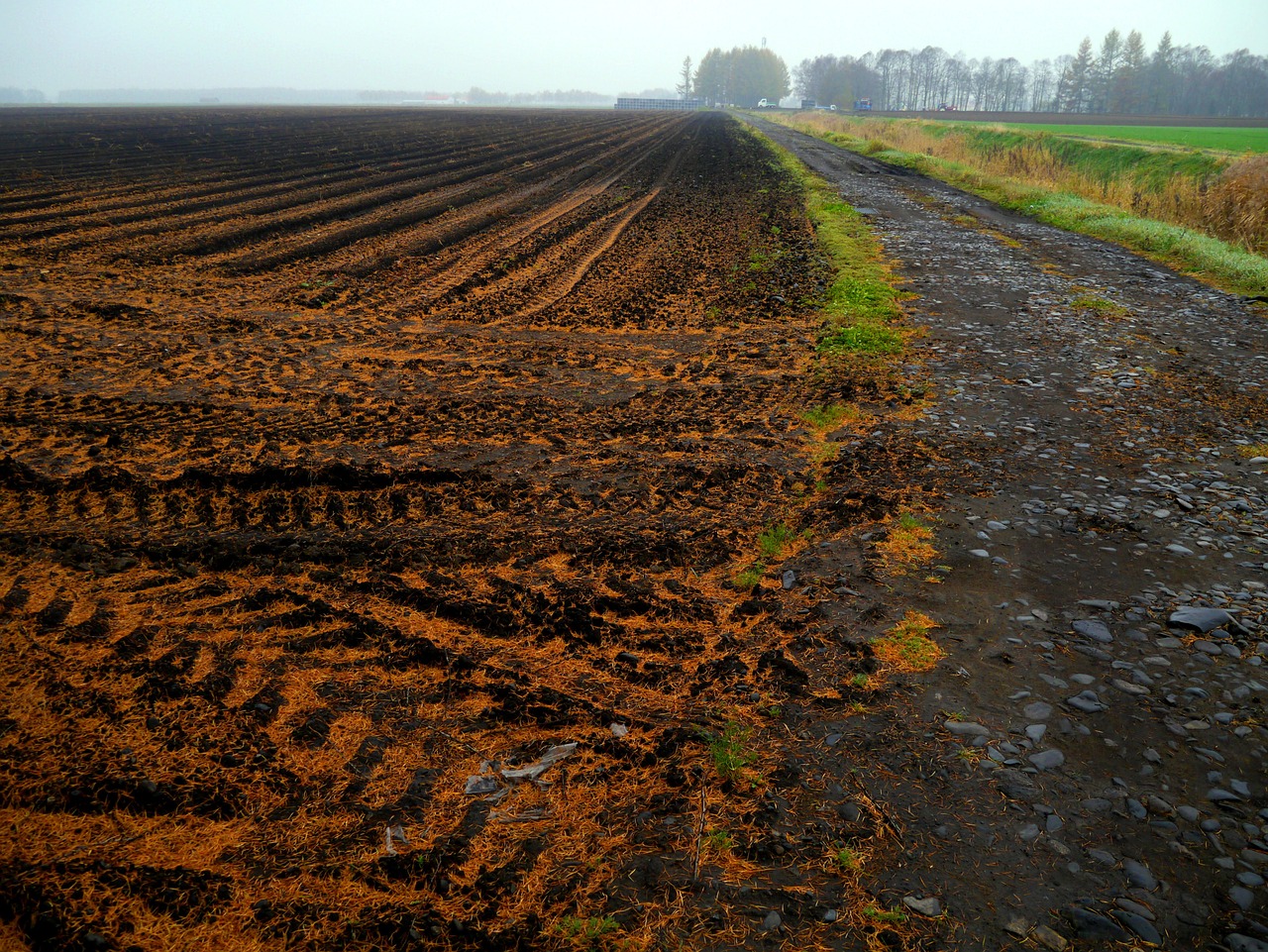 farmland plow tractor free photo