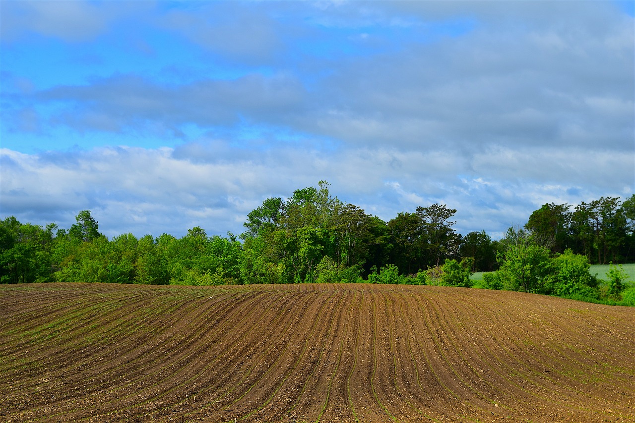 farmland spring planting free photo