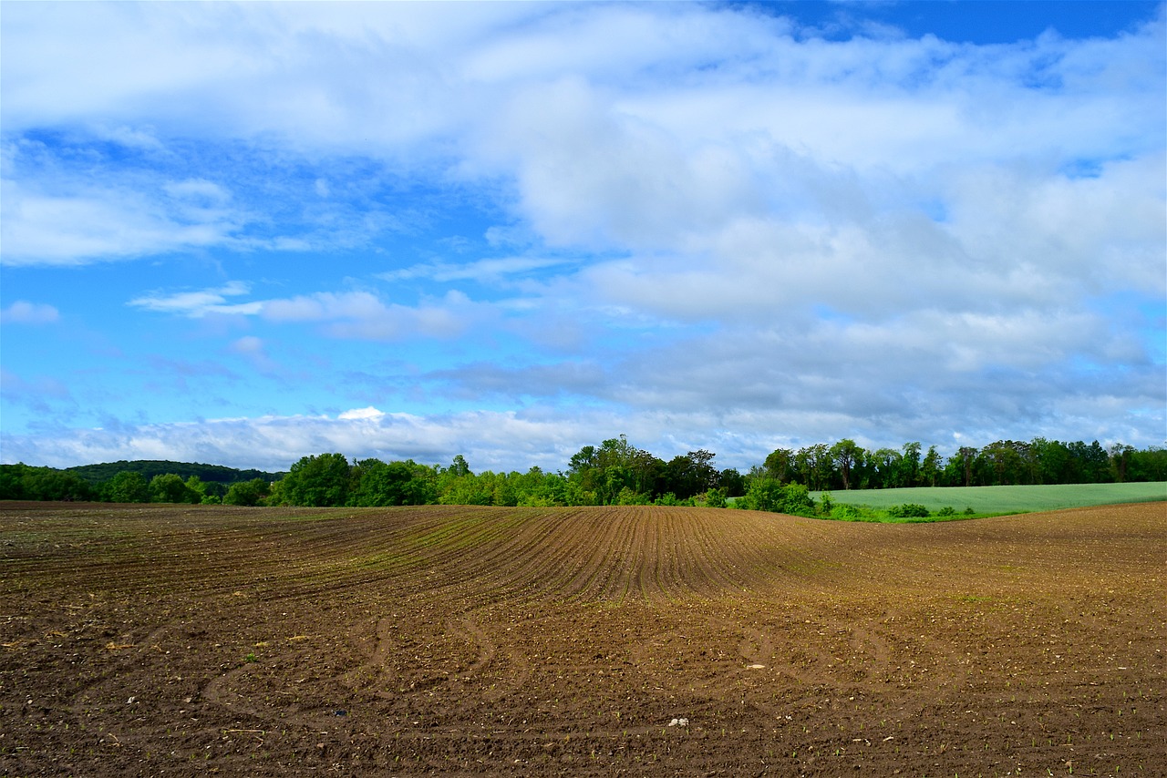 farmland spring planting free photo