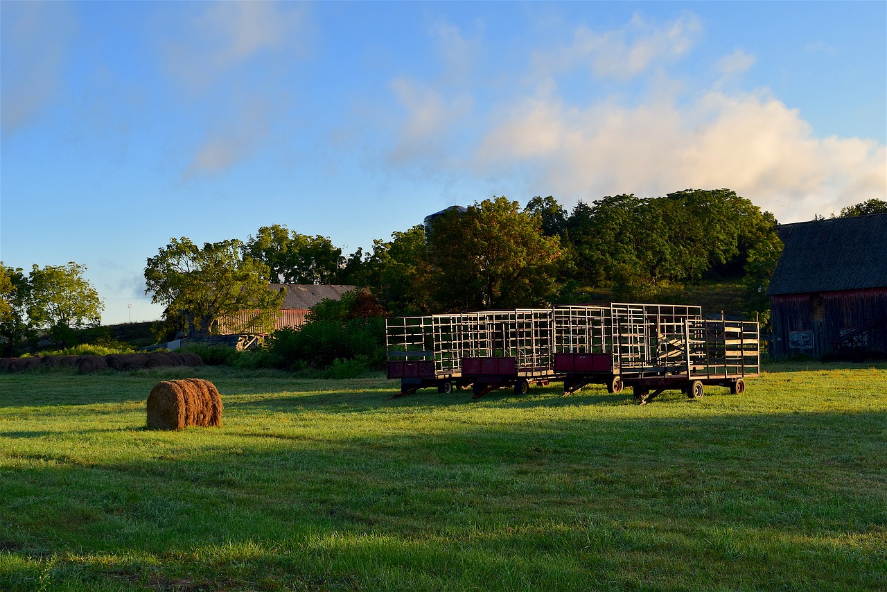 farmland sunrise grass free photo