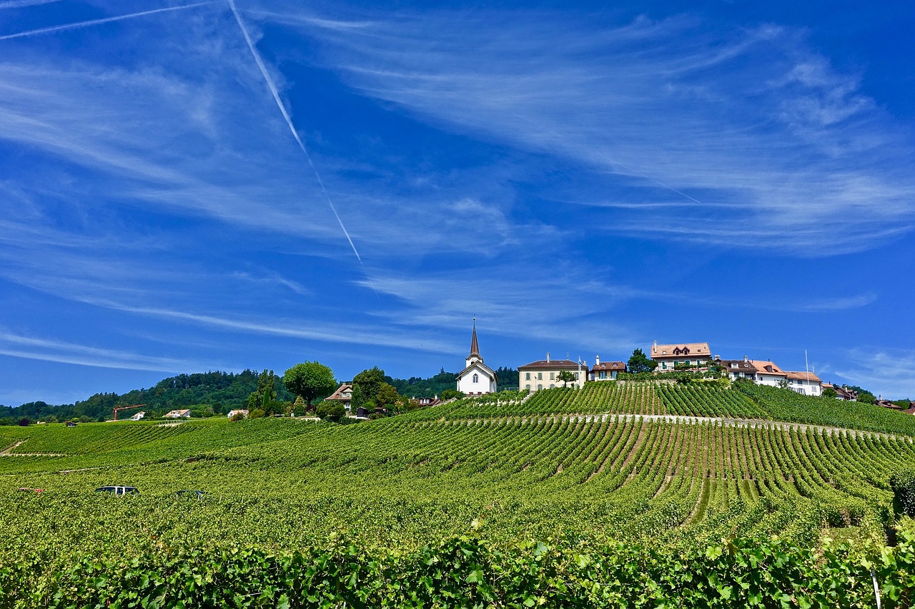 farmland  agriculture  nature free photo