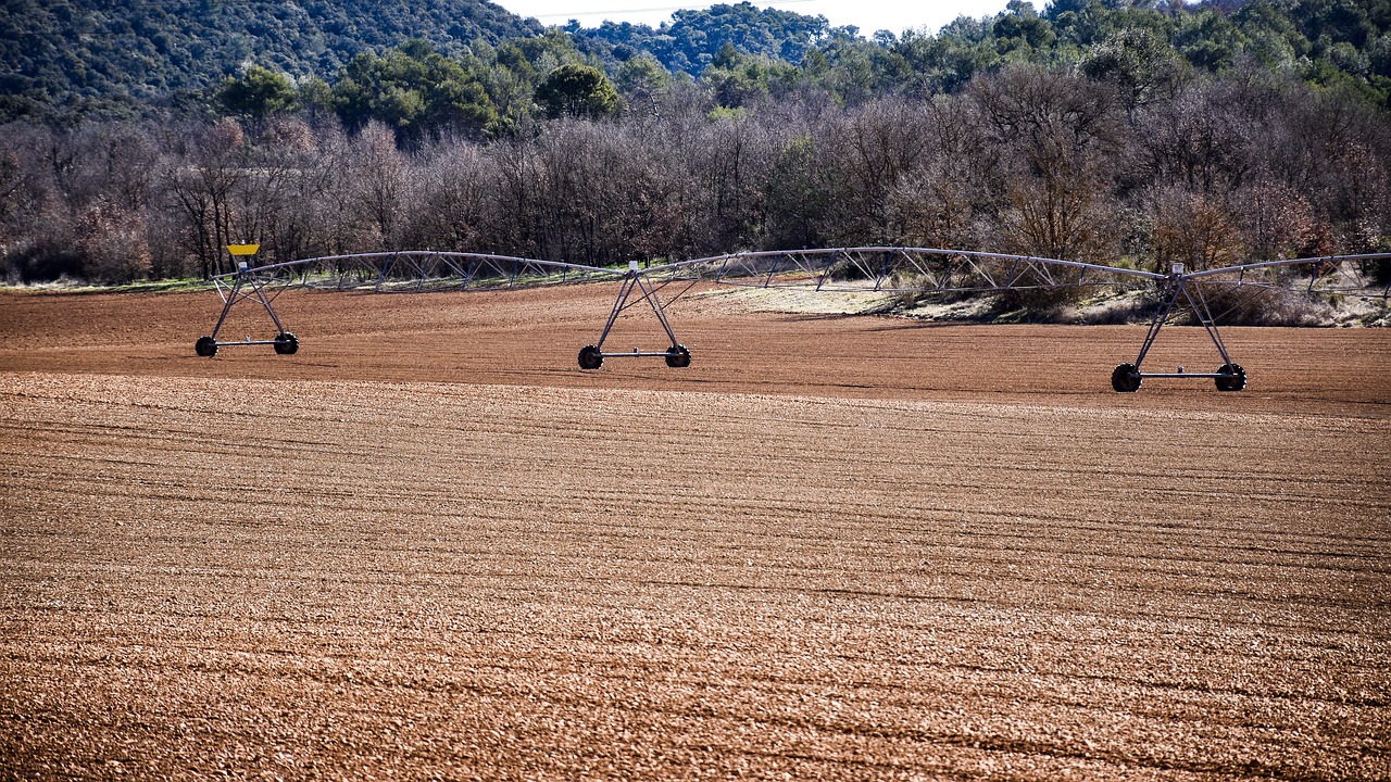 farmland  agriculture  field free photo