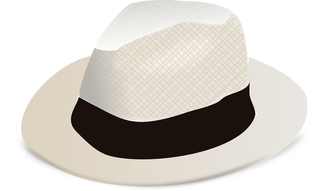 fashion hat panama hat free photo