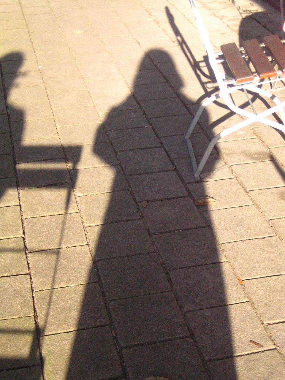fashion shadow light free photo