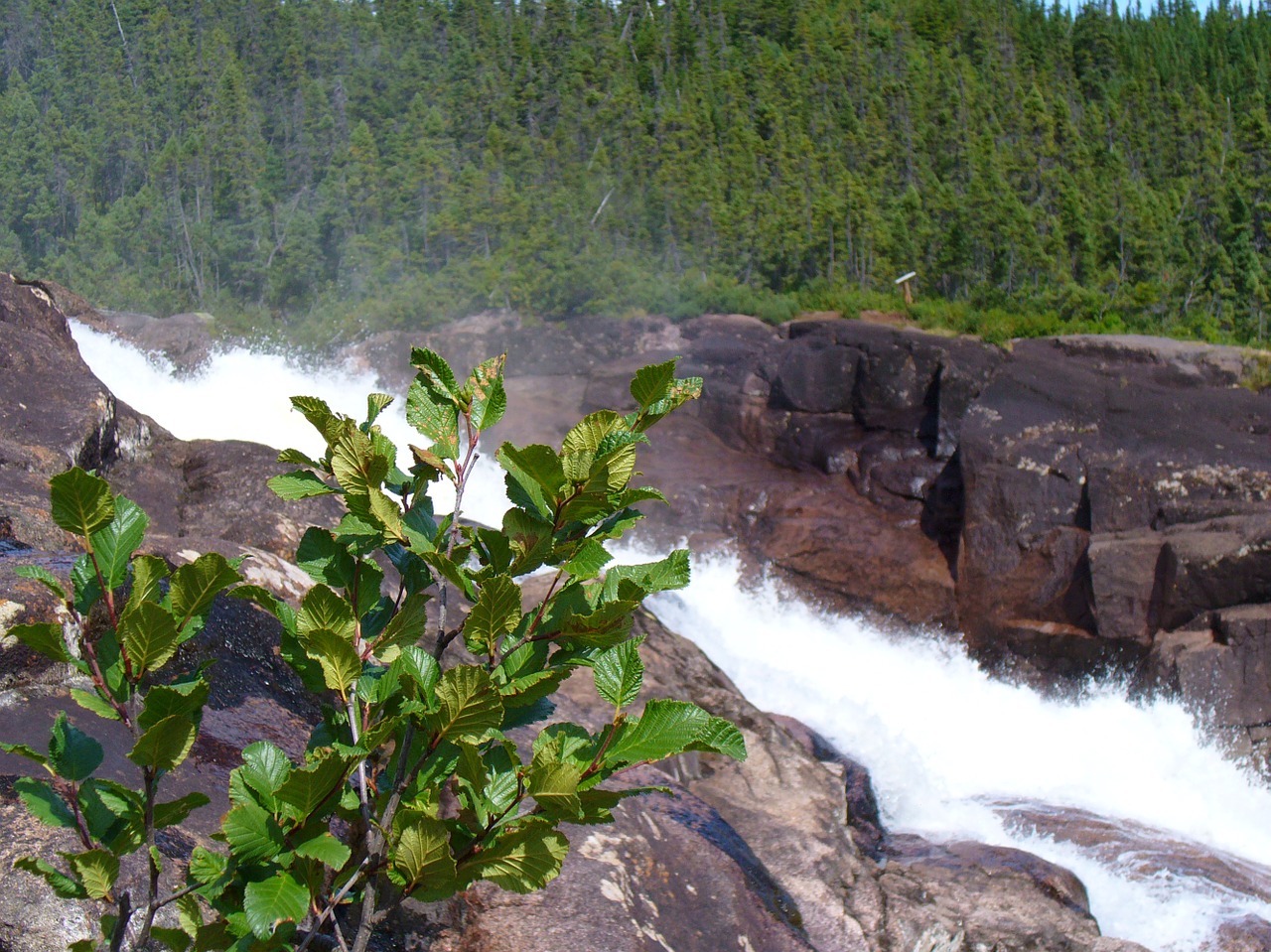 fast water landscape free photo