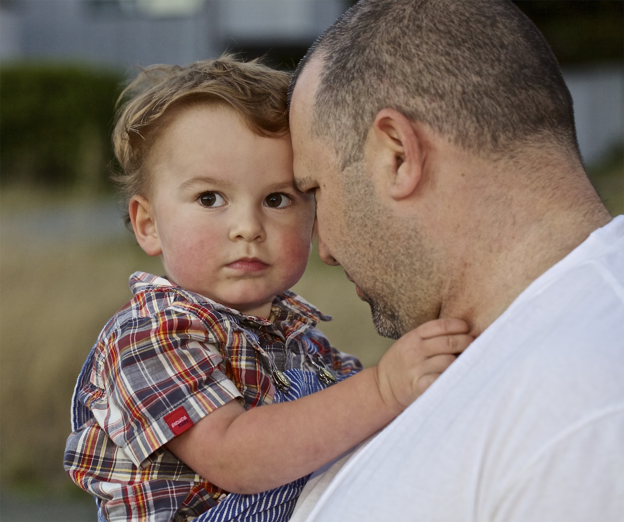 father son dad free photo