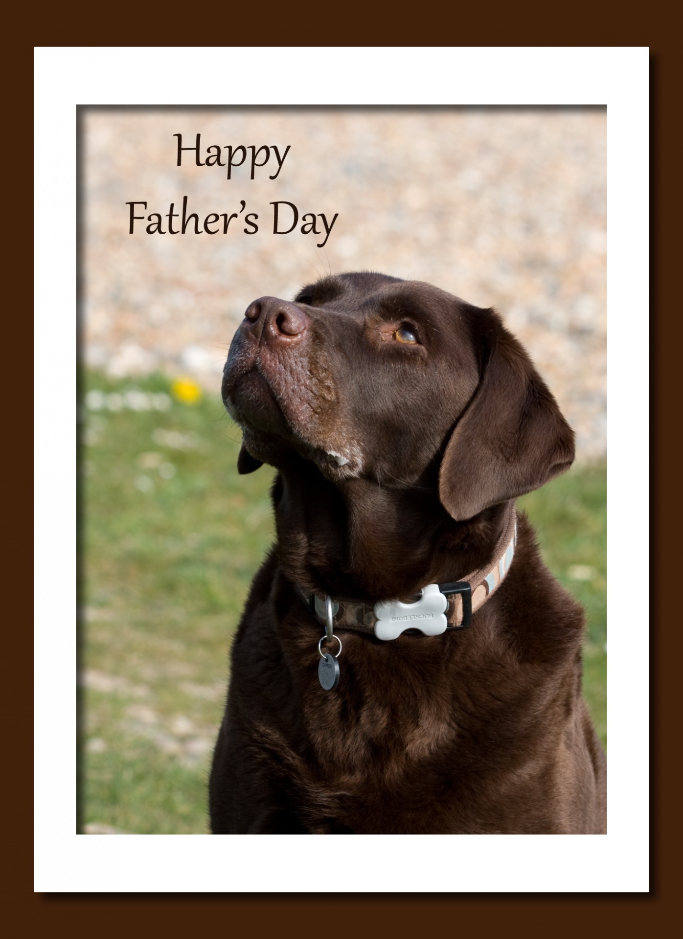 father's day card father's day card free photo