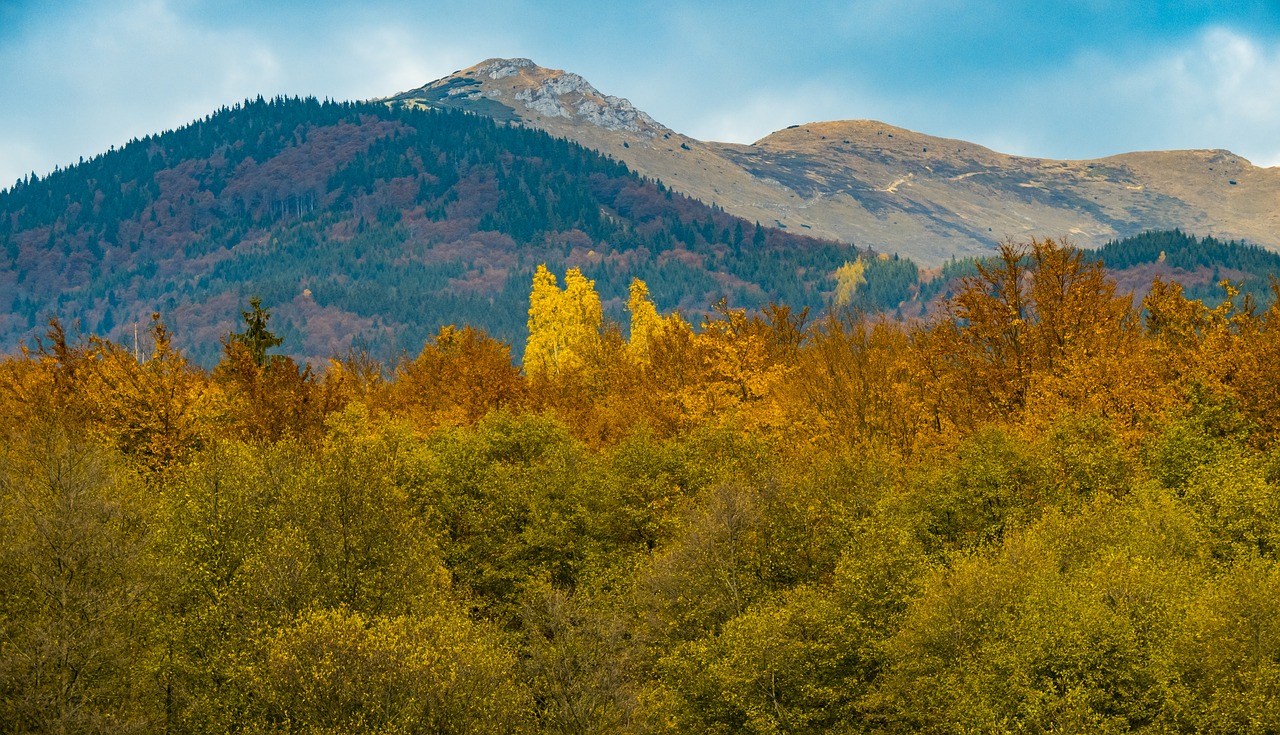 fatra  mountain  martin free photo