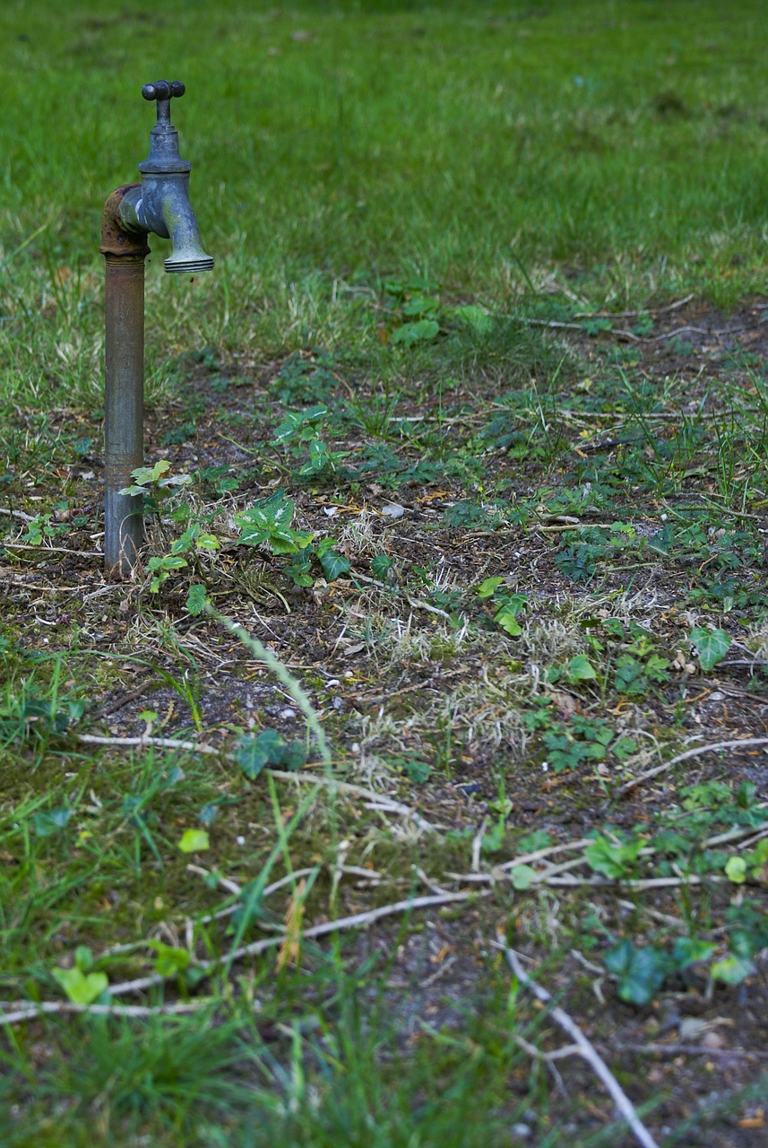 faucet grass water free photo