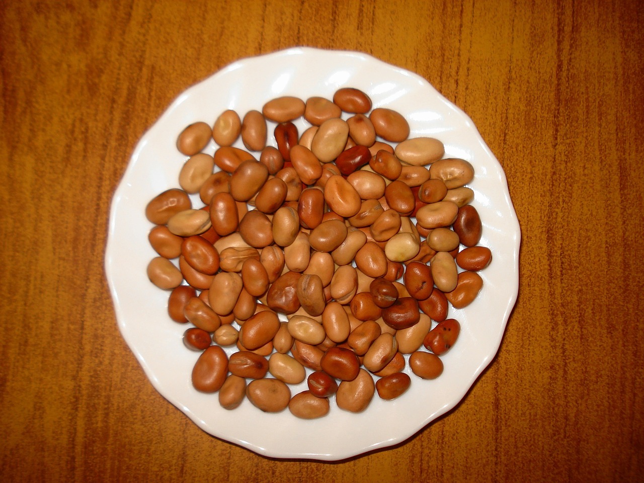 fava beans food plate free photo