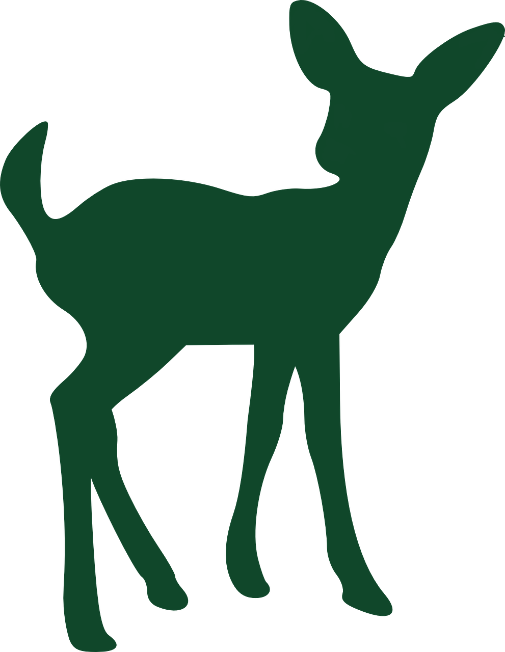 fawn deer green free photo