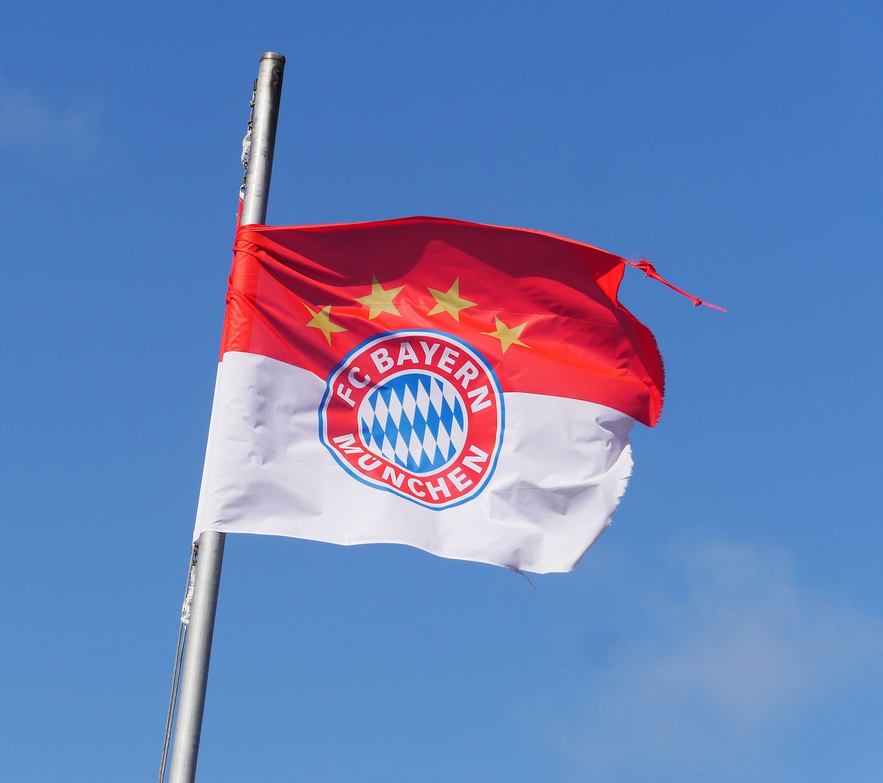 fc bayern munich club flag sturmerprobt free photo