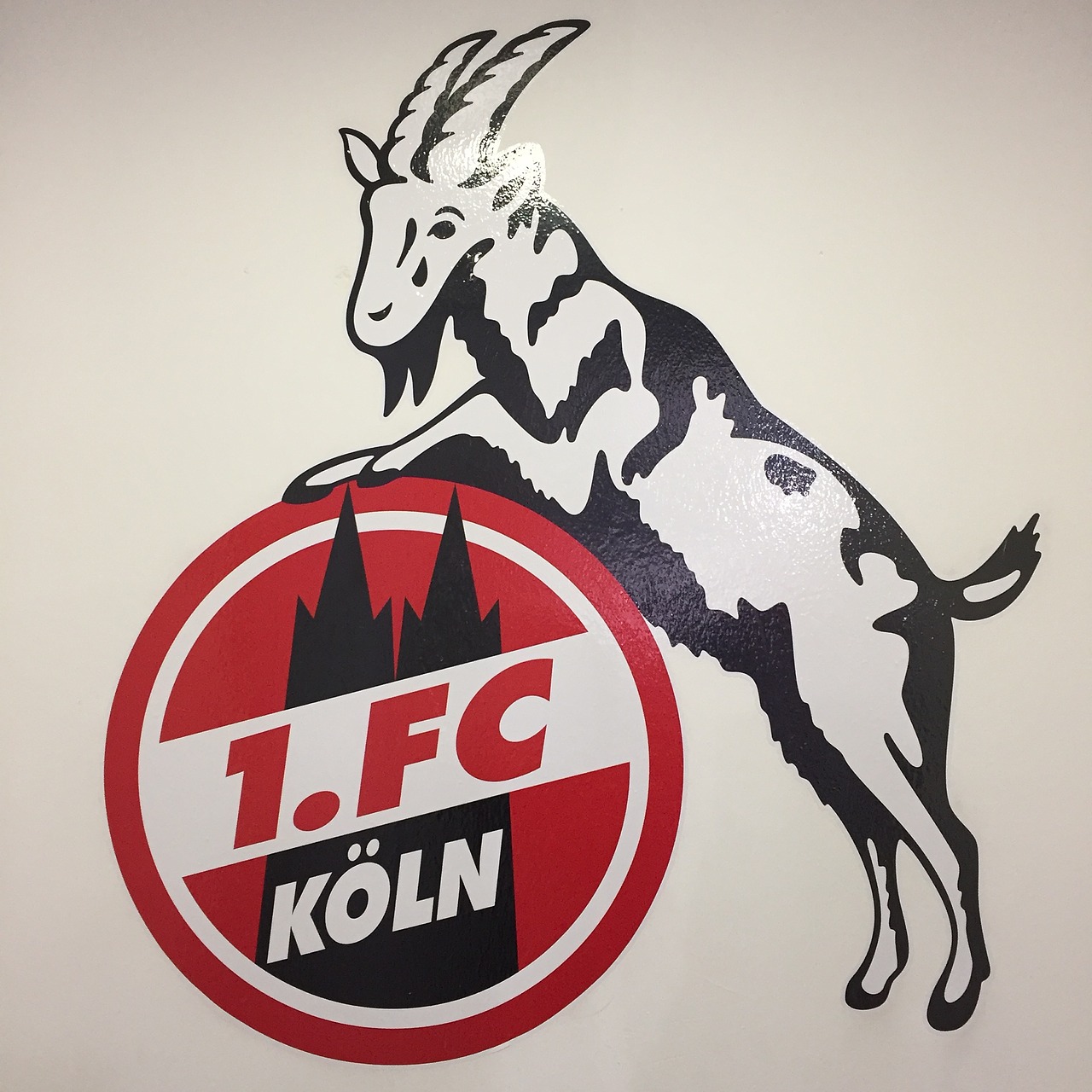 Fc köln,bundesliga,logo,football,club - free image from needpix.com