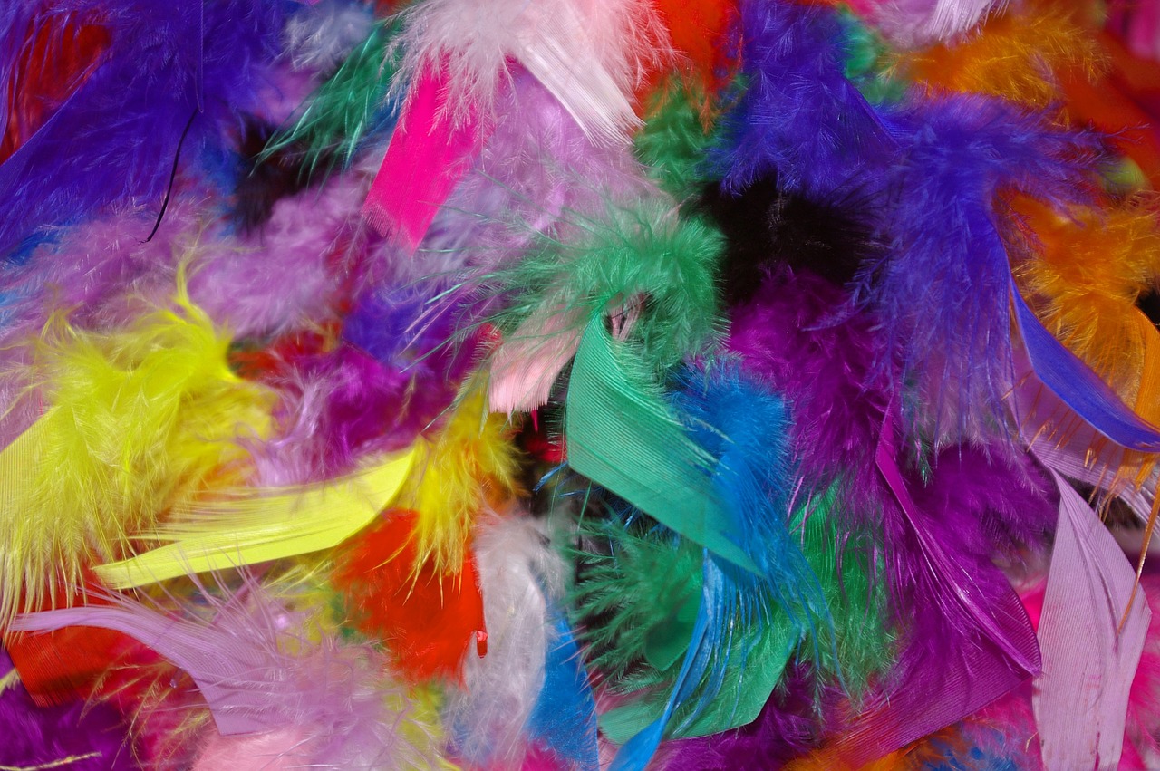 feather colorful feathers carnival free photo