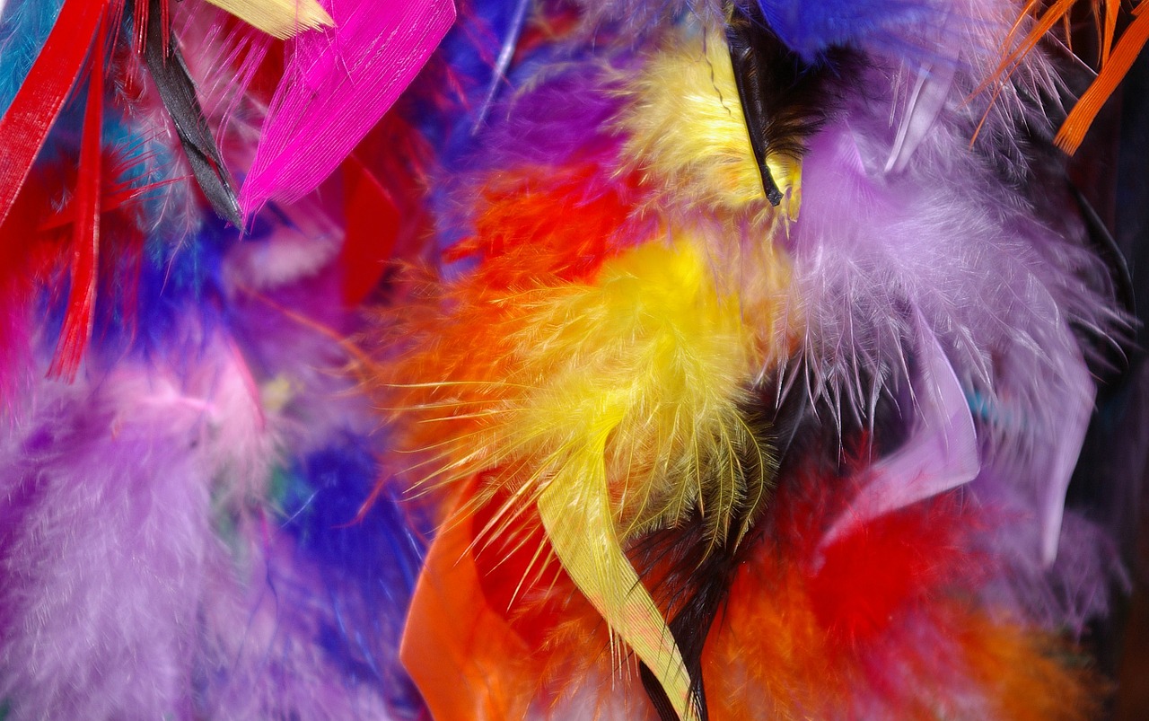 feather colorful feathers carnival free photo