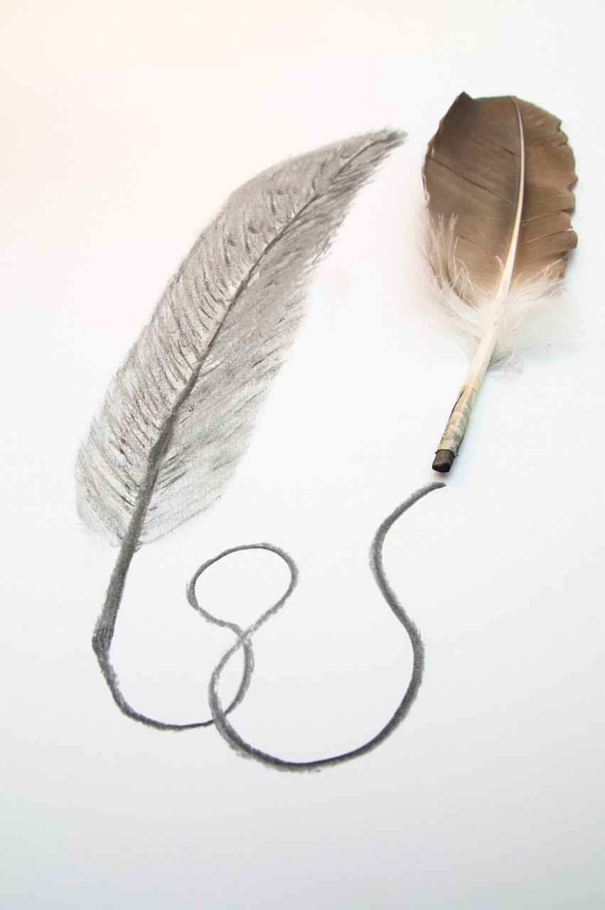 feather drawing charcoal pencil free photo