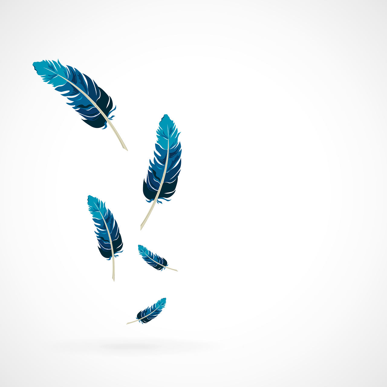 feather blue vector free photo