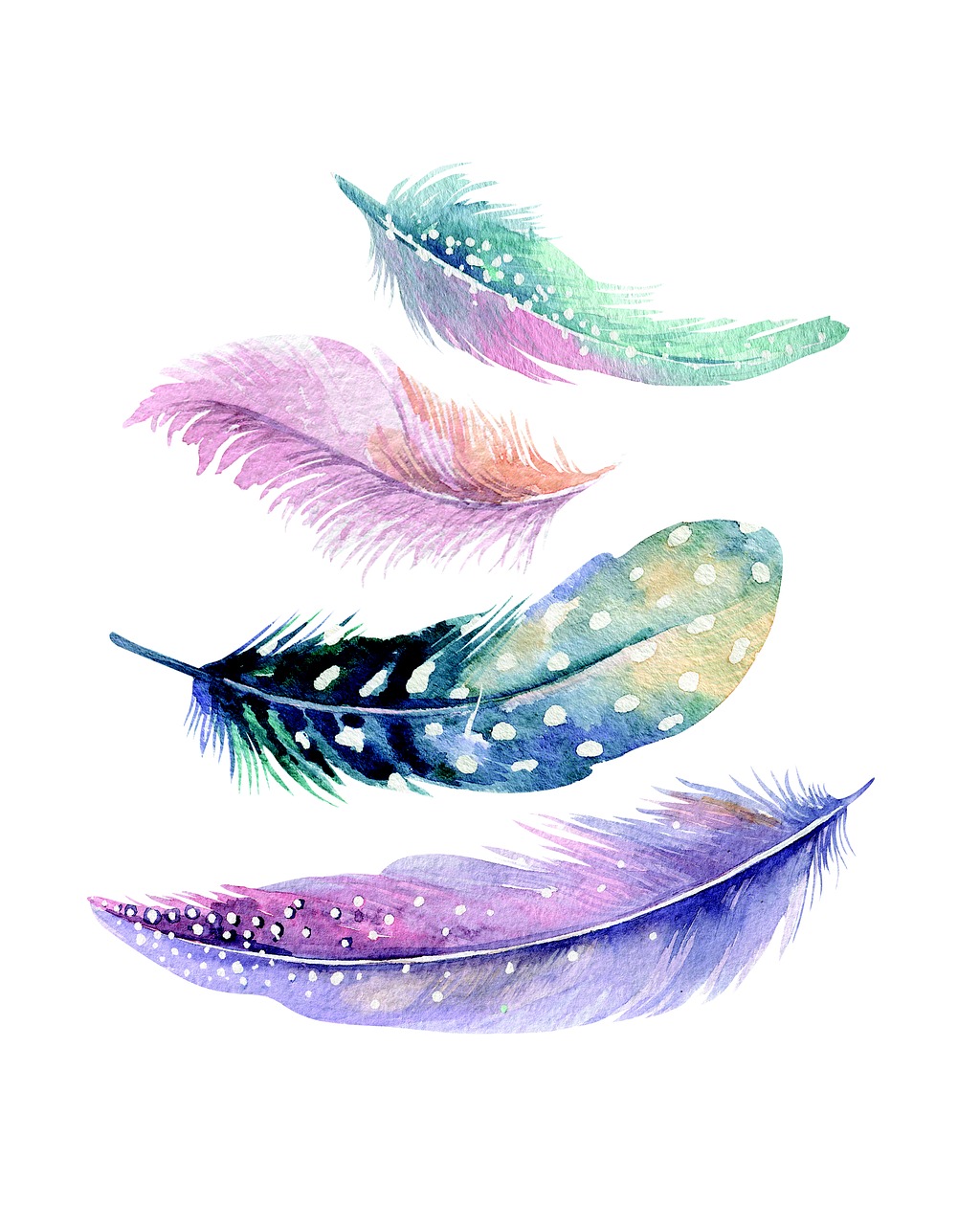 feather wall art decoration free photo