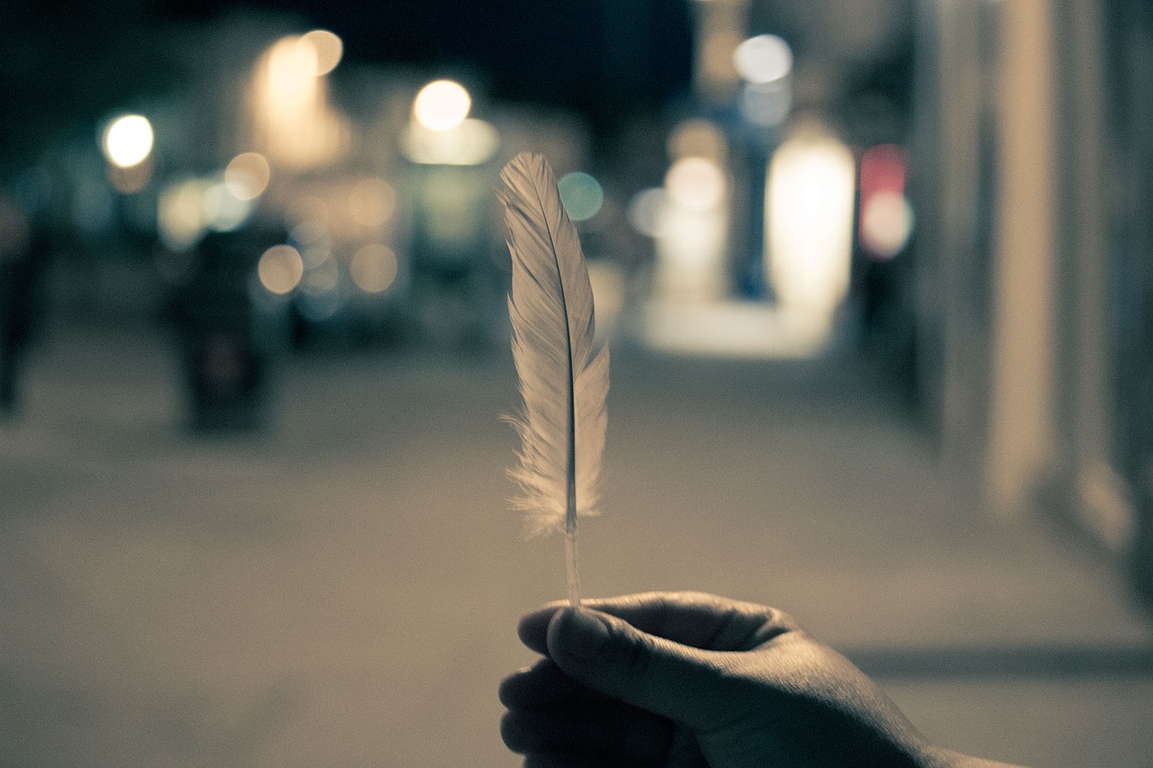feather hands night free photo
