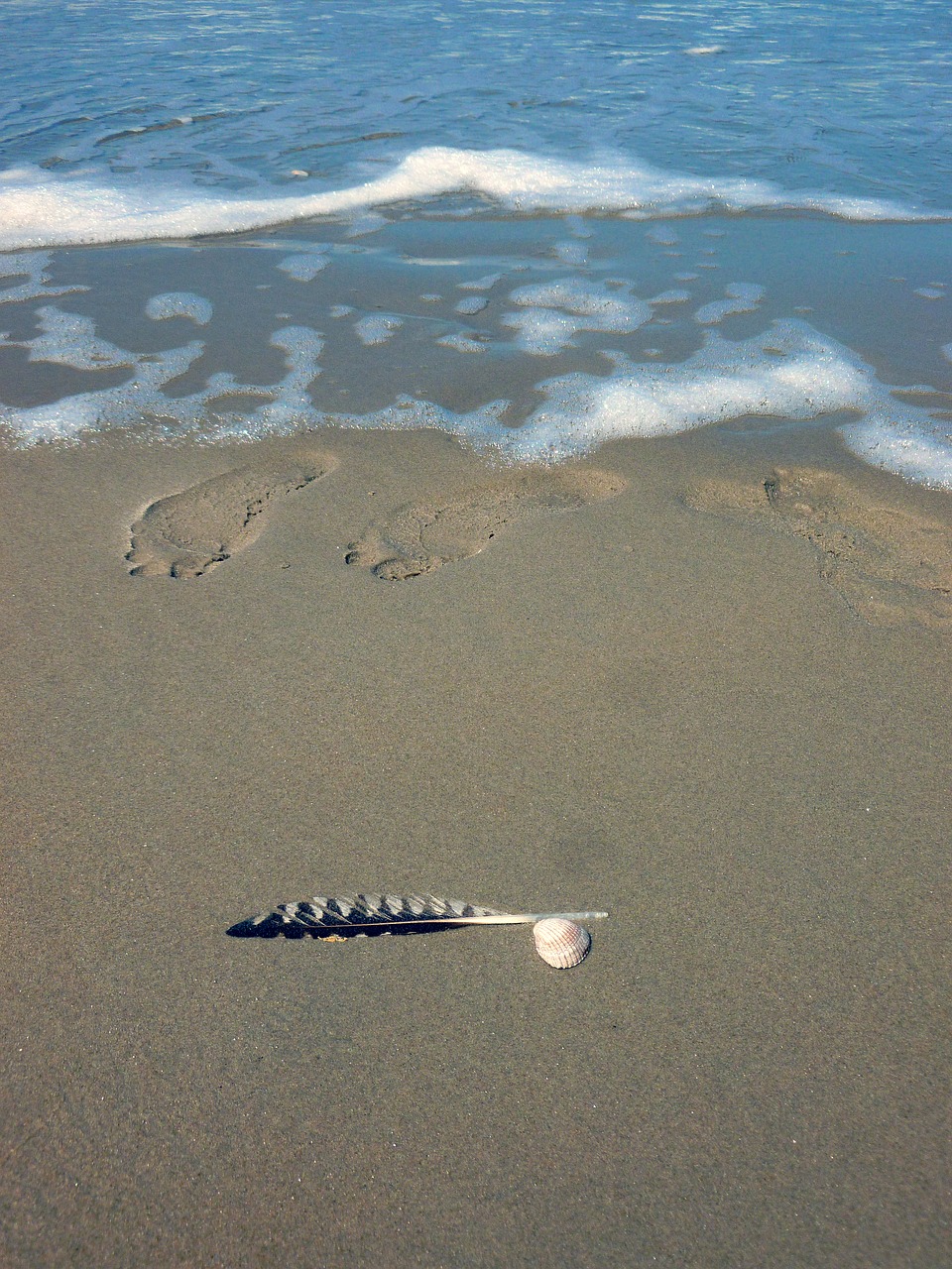 feather sand footprint free photo
