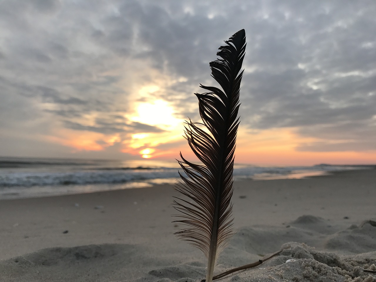 feather sunrise beach free photo