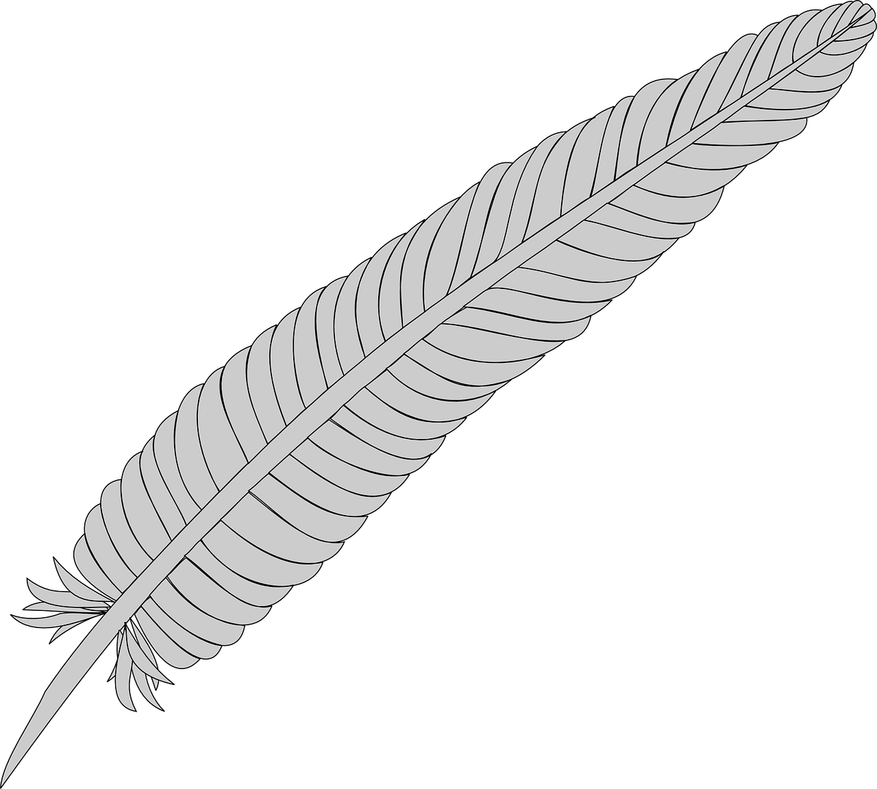 feather silver quill free photo